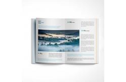 China PP lamination Picture Book Printing Paperboard Custom Journal Printing supplier