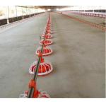 Drip Cup 4mm Automatic Drinking System For Poultry House Accessories