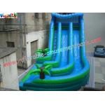 0.55mm PVC Commercial Coco Outdoor Inflatable Water Slides 10L x 5.5W x 6.5H Meter for sale
