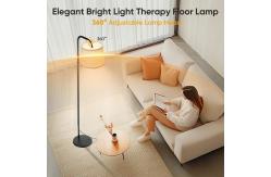 China 24W Therapy Floor Lamp Remote Control Touch Control Sad Floor Lamps supplier