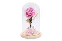 China Home Decor Colorful Preserved Rose In A Glass Dome 7cm-8cm supplier