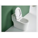 One Piece Dual Flush Sanitary Ware Toilet Floor Mounted 3D Design