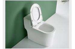 China One Piece Dual Flush Sanitary Ware Toilet Floor Mounted 3D Design supplier