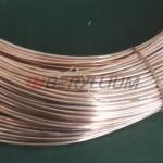 Material Cuco2be CW104C Cobalt Copper Beryllium Wires UNS C17500 0.8mm 0.9mm 1mm for sale