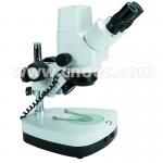 10X-40X Digital Stereo Microscope A32.1202 With Halogen Lamp And Coarse Focusing for sale
