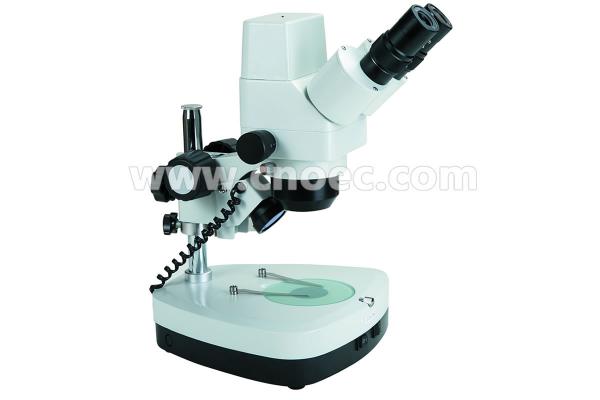 10X-40X Digital Stereo Microscope A32.1202 With Halogen Lamp And Coarse Focusing