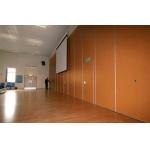 Fireproof Modern Dance Studio Movable Partition Walls With Pass Door