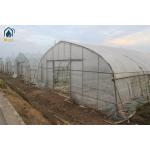 Single Span Tunnel Greenhouse Commercial For Plant Growth And Protection for sale
