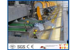 China CE Citrus Processing Equipment , Orange Juice Plant With Fruit Processing Technology supplier