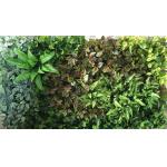 No Nursing Artificial Vertical Greening Easy To Care
