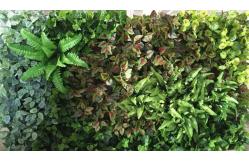China No Nursing Artificial Vertical Greening Easy To Care supplier
