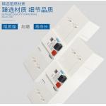 PG230 PG430 Earth Leakage Circuit Breaker AC 50Hz 250 440V NFC61450 IEC61008 for sale