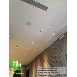 Perforated Metal Ceiling Aluminium Solid Panel Anti Rust Interior And Exterior Ceiling Decorataion for sale