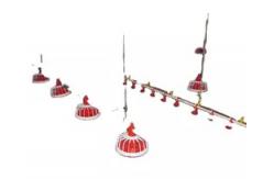China Raising Chicken Feeding Line Steel PP Poultry Pan Feeding System supplier