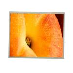 LQ190E1LW74 New 19.0 inch 1280*1024 LCD Display for sale