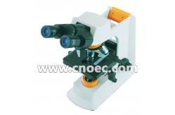 China High Power Compound Optical Microscope For Students , WF10X - 18mm A12.2601 supplier