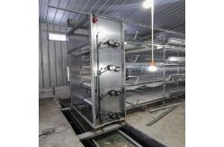 China 1.2mm Poultry Manure Removal System supplier