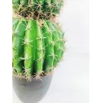 Cactus Ball Highly Lifelike 90cm Artificial Succulent Plant Round Shape