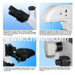 Bright Field Inverted Modulation Phase Contrast Microscope Infinity Plan  A19.0203