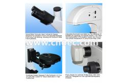 China Bright Field Inverted Modulation Phase Contrast Microscope Infinity Plan  A19.0203 supplier