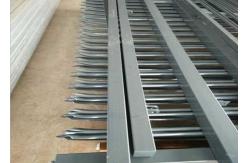 China W Pale Section Powder Coating Palisade Fence supplier