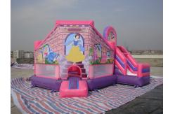 China PVC Tarpaulin Inflatable Amusement Park , Inflatable Mini Bouncer For Kids supplier