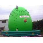 Inflatable Amusement Park With Round Green Rock Climbing Mountain For Adult for sale