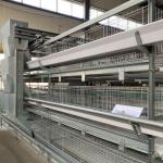Hot Galvanized Poultry Farming Equipment Automated Layer Chicken Broiler Chicken Farming Cage for sale
