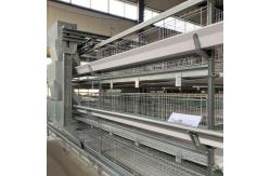 China Hot Galvanized Poultry Farming Equipment Automated Layer Chicken Broiler Chicken Farming Cage supplier