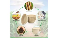 China 100% Biodegradable Paper Disposable Soup Bowls For Hot Soups And Appetizers supplier