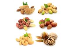 China Multi Functional Food Processing Equipment Peanut Roasting Machine OEM supplier
