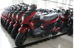 China Electric Folding Bike manufacturer