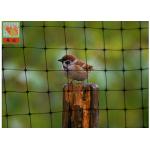 Heavy Duty Plastic Vegetable Garden Mesh Netting , PP Black Anti Bird Netting for sale