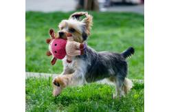 China Natural Stuffed Squirrel Dog Plush Toys For Puppies supplier