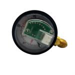 LLANO LN-CNG-CB08 CNG Pressure Gauge CNG Manometer With Range 400 Bar for sale