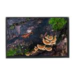 LTD121EA4Z 12.1 inch 1024*768 LCD Screen Display Panel for sale