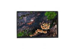 China LTD121EA4Z 12.1 inch 1024*768 LCD Screen Display Panel supplier