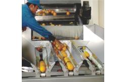 China Stainless Steel Vegetables Fruit Processing Equipment With Spiral Conveyors supplier