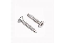 China DIN EN ISO 14586 SUS304 Plum Blossom Screw Countersunk Head Tapping Screw supplier