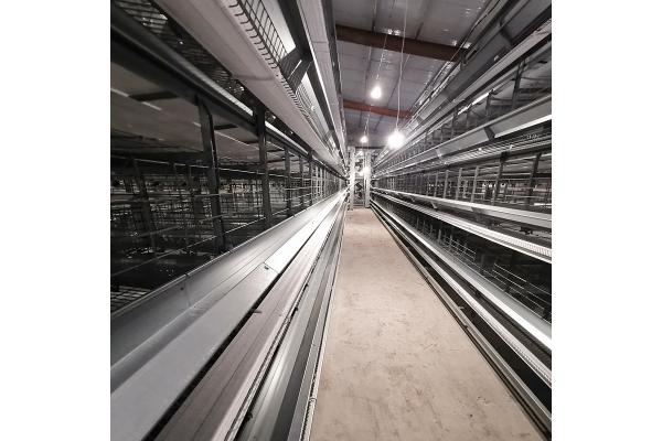 4 Floors H Frame Broiler Chicken Poultry Cage With Automatic Feeder