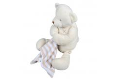 China Non Toxic Plush Bear Stuffed Animals Dressup Style PP Cotton Filling supplier