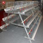 144 Birds Broiler Breeder Battery Chicken Cages Layer 3 Tiers A Frame for sale