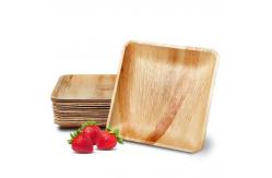 China 100% Compostable Biodegradable Palm Leaf Plates Disposable supplier