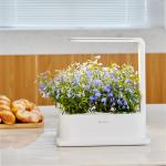 Desktop Grow Box