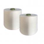 Raw White 40/2 Yizheng Spun Polyester Yarn For Sewing Thread AAA Grade for sale