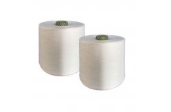 China 30/2,30/3 Raw White100% Polyester Spun Yarn For Sewing Thread supplier