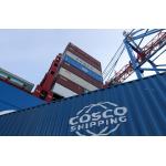 Warehouse Storage LCL Container Shipping FOB Sea Freight Forwarder for sale