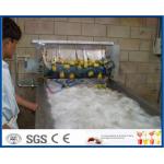 Pineapple Mango Processing Line , Fruit Juice Mango Pulp Processing Plant for sale