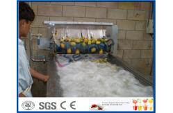 China CE Apple Processing Line with Automatic Disinfection Liquid Concentration Control System supplier