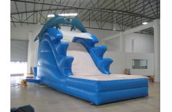 China Inflatable Water Slide / inflatable giant wet slide/ inflatable dolphin slide supplier